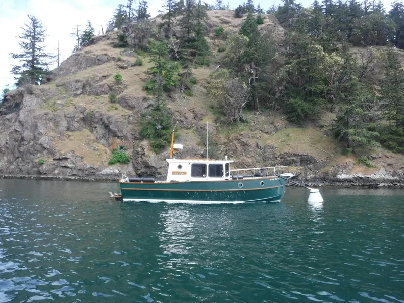 Slide: The Image of Devlin Surf Scoter 2000 - 53