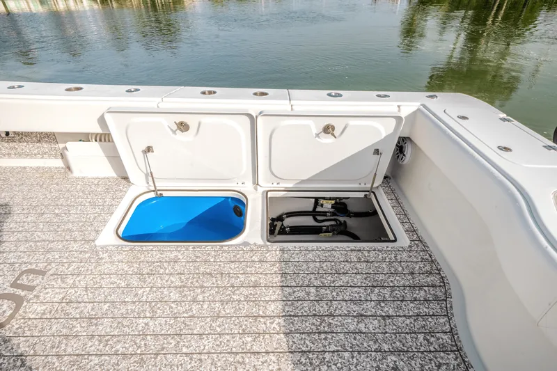 Slide: The Image of Freeman 47 T 2023 - 20