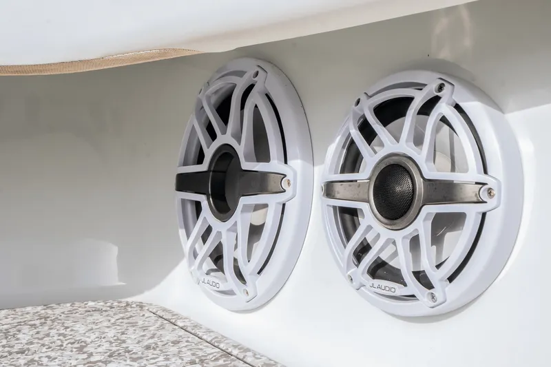 Slide: The Image of Freeman 47 T 2023 - 9