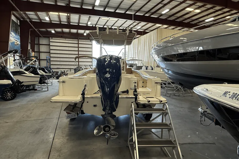 Slide: The Image of Scout 215 XSF 2019 - 3