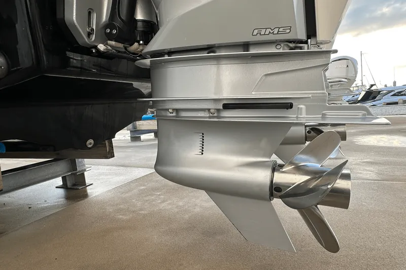 Slide: The Image of Sea Ray 290 SDX OB 2023 - 25