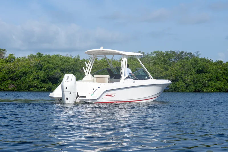 Slide: The Image of Boston Whaler 240 Vantage 2026 - 26