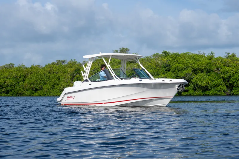 Slide: The Image of Boston Whaler 240 Vantage 2026 - 29