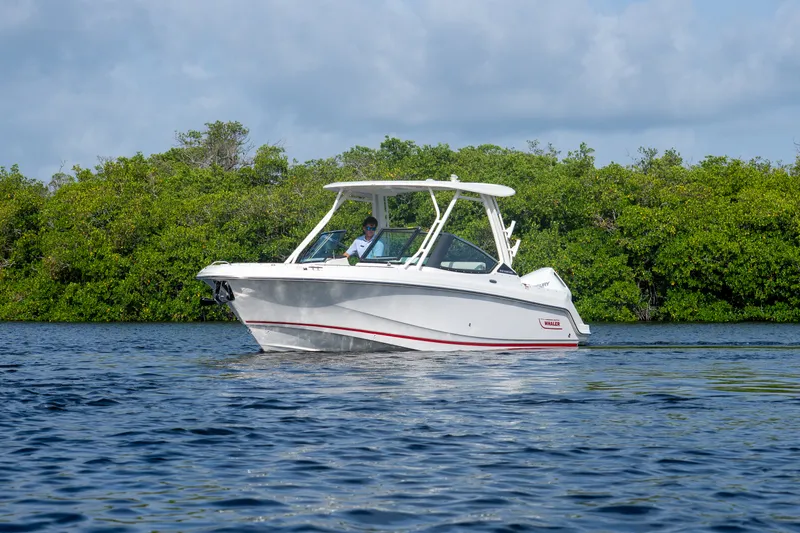 Slide: The Image of Boston Whaler 240 Vantage 2026 - 28