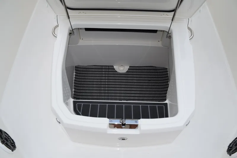 Slide: The Image of Boston Whaler 250 Dauntless 2026 - 16
