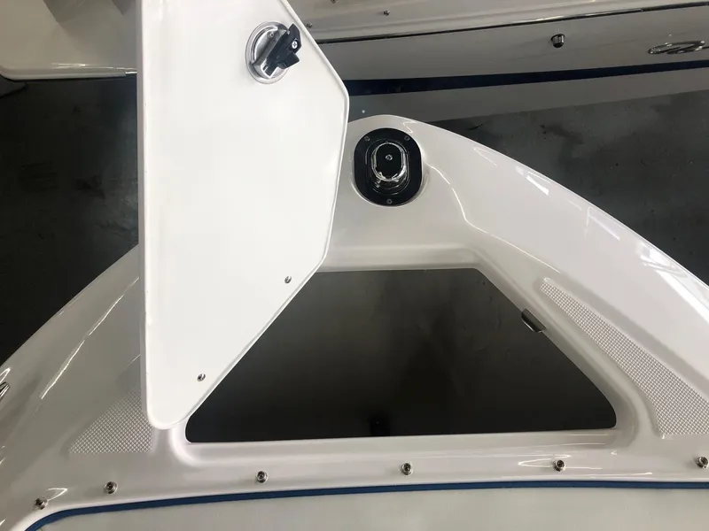 Slide: The Image of Regal LS4 2020 boat, open storage compartment hatch, close-up. - 42