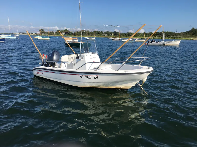 Slide: The Image of 1999 Boston Whaler 140 Dauntless boat on calm water, surrounded by other boats. - 3