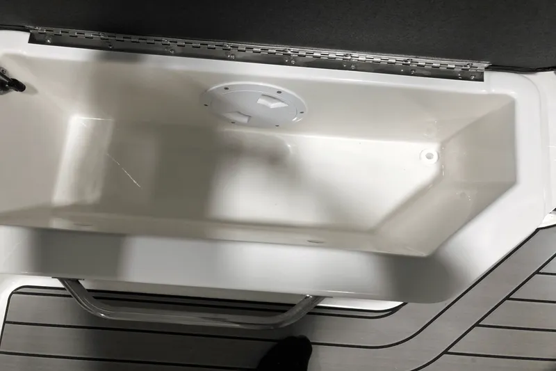 Slide: The Image of Sea Ray SDX 270 Outboard 2025 - 41