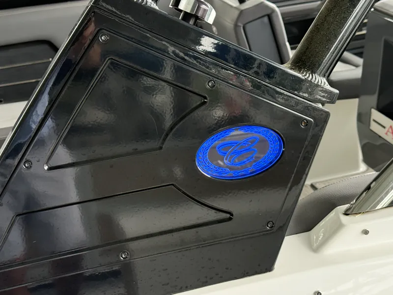 Slide: The Image of Cobalt A29 2022 - 10