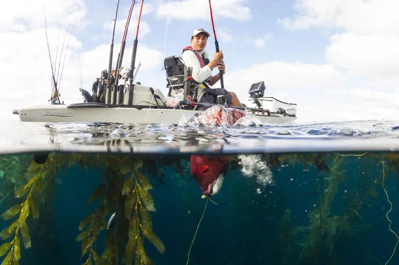Slide: The Image of Angler fishing from a 2022 Hobie MIRAGE PRO ANGLER 14 kayak in clear waters. - 2