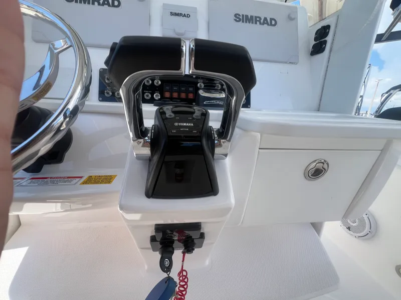 Slide: The Image of Everglades 295CC 2019 - 20