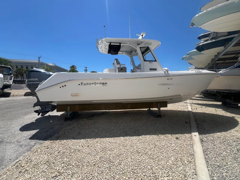 Slide: The Image of Everglades 295CC 2019 - 5