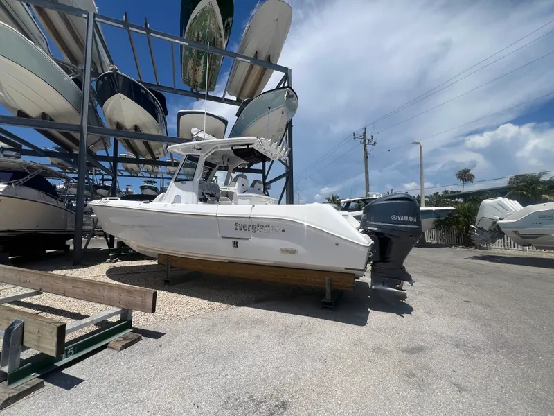 Slide: The Image of Everglades 295CC 2019 - 2