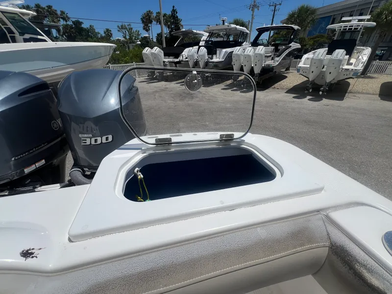 Slide: The Image of Everglades 295CC 2019 - 10