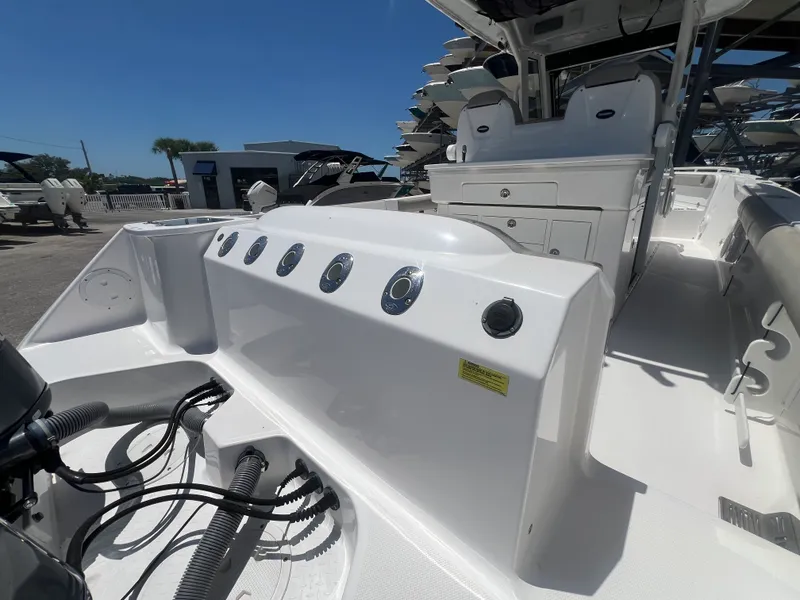 Slide: The Image of Everglades 295CC 2019 - 8