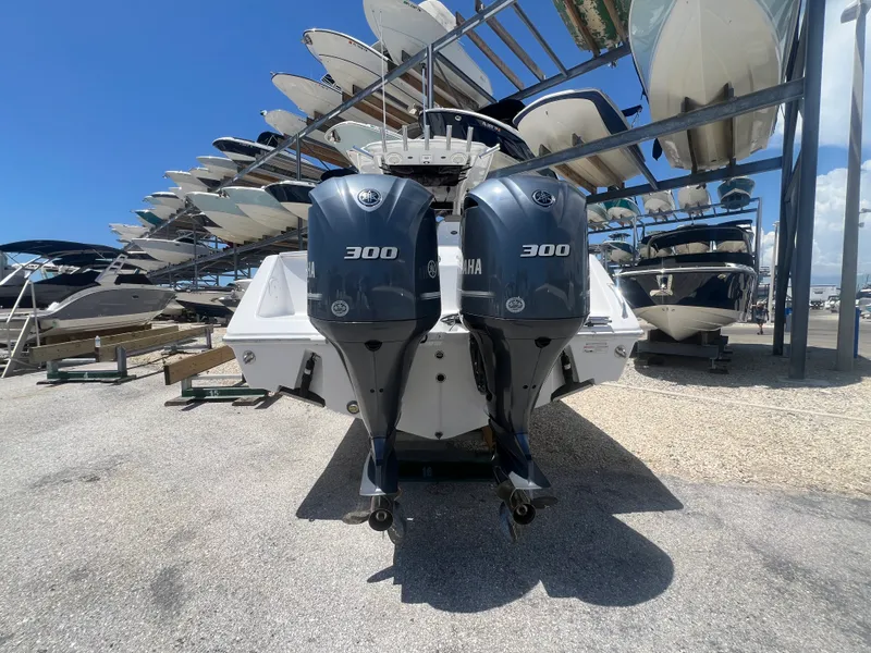 Slide: The Image of Everglades 295CC 2019 - 3