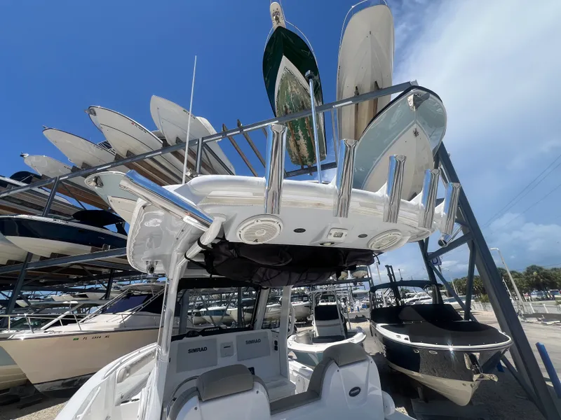Slide: The Image of Everglades 295CC 2019 - 36