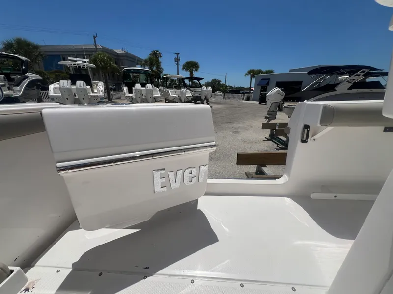 Slide: The Image of Everglades 295CC 2019 - 14