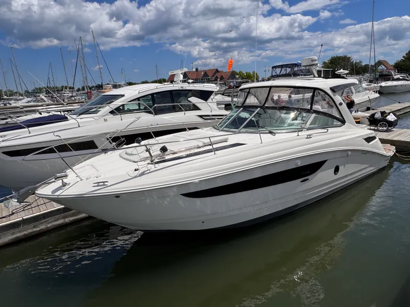 Slide: The Image of Sea Ray 350 SUNDANCER 2018 - 5