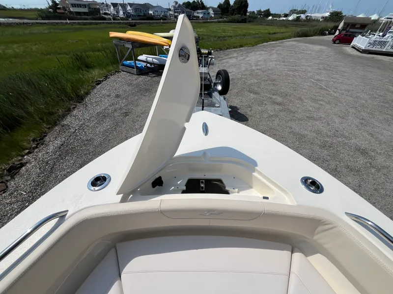 Slide: The Image of Scout 220 XSF 2027 - 18