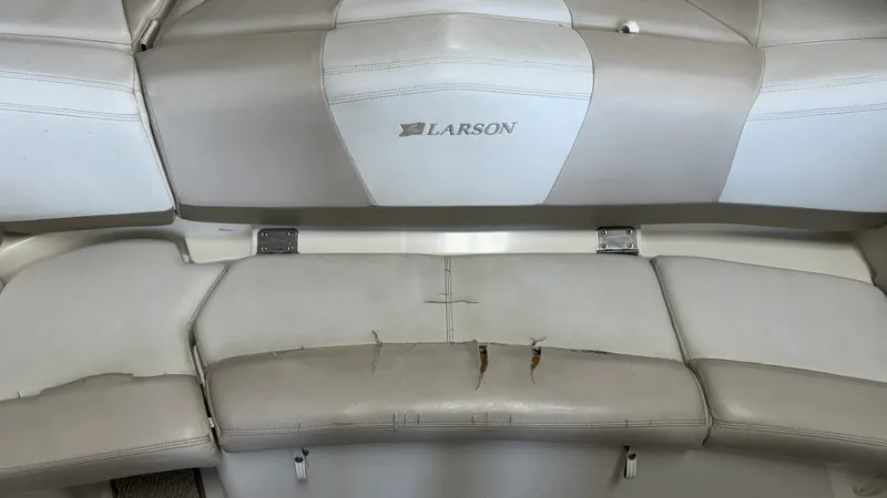 Slide: The Image of Larson LXI228 2006 - 32