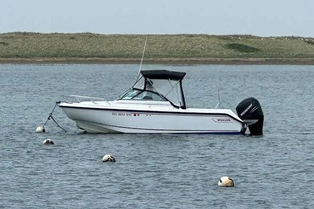 The Image of 2005 Boston Whaler VENTURA 210 boat anchored on calm water. - 0