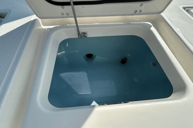 Slide: The Image of Boston Whaler 250 Dauntless 2026 - 10