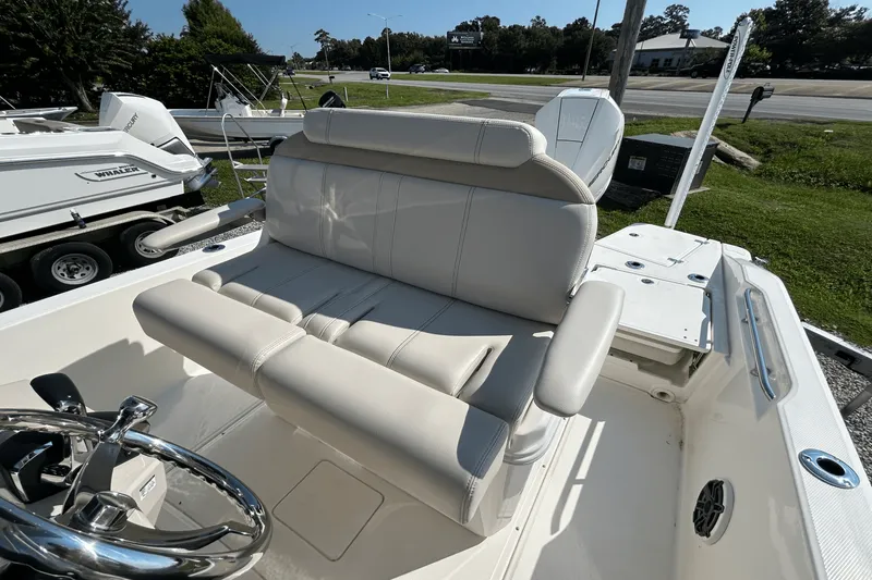 Slide: The Image of Boston Whaler 250 Dauntless 2026 - 15