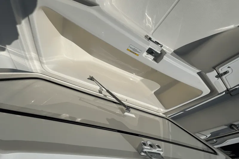 Slide: The Image of Boston Whaler 250 Dauntless 2026 - 17