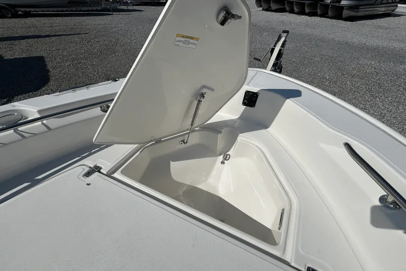 Slide: The Image of Boston Whaler 250 Dauntless 2026 - 18