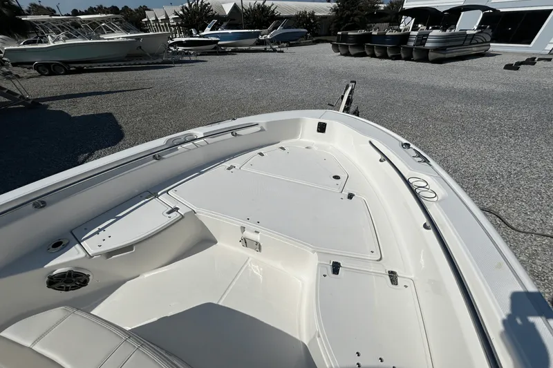 Slide: The Image of Boston Whaler 250 Dauntless 2026 - 19