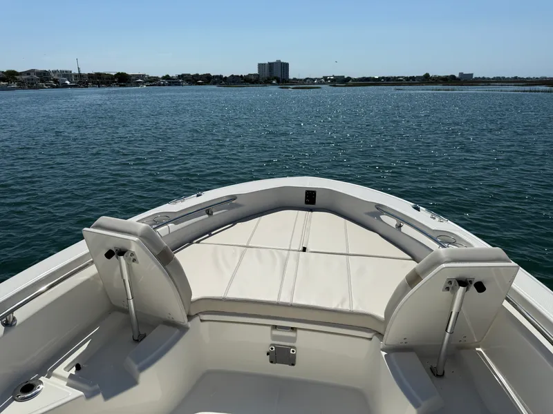 Slide: The Image of Boston Whaler 250 Dauntless 2026 - 22