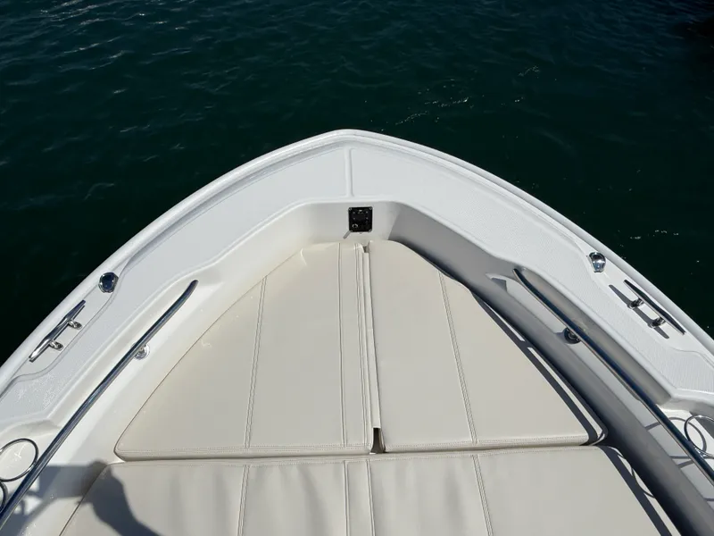 Slide: The Image of Boston Whaler 250 Dauntless 2026 - 23