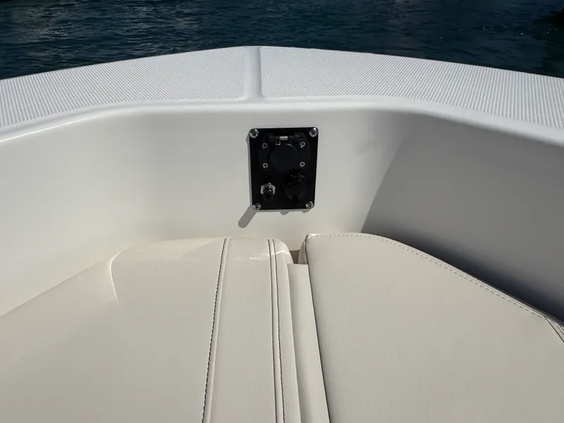 Slide: The Image of Boston Whaler 250 Dauntless 2026 - 24