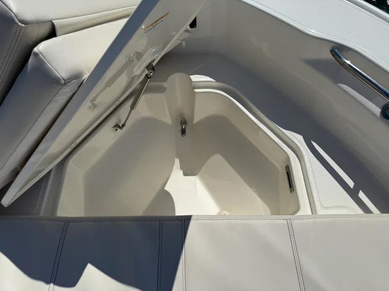 Slide: The Image of Boston Whaler 250 Dauntless 2026 - 25