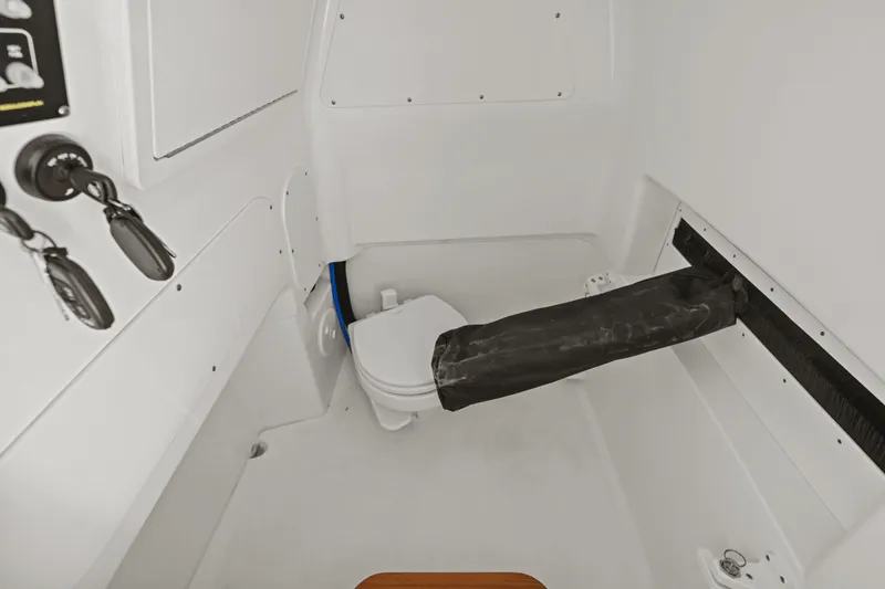 Slide: The Image of Boston Whaler 280 Dauntless 2025 - 29