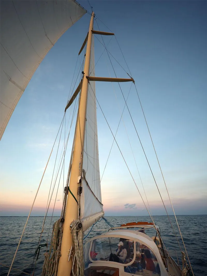 Slide: The Image of Mainmast, Looking Up - 37