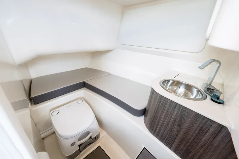 Slide: The Image of Sea Ray SDX 250 Outboard 2025 - 36