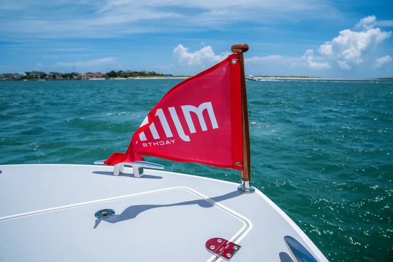 Slide: The Image of MJM 3 2026 - 51