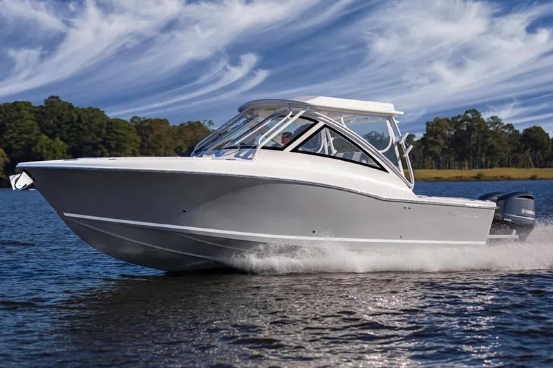 The Image of Albemarle 31 Dual Console 2026 - undefined