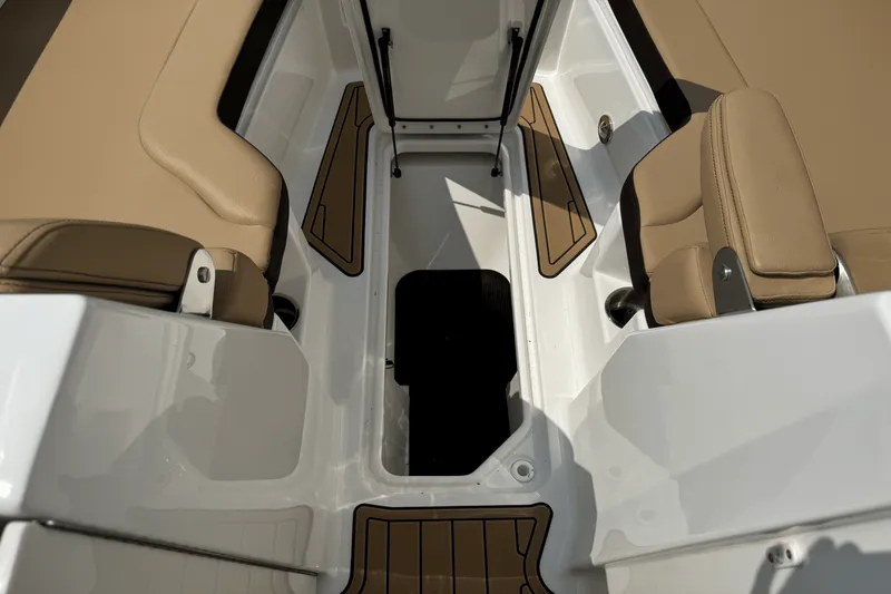 Slide: The Image of Sea Ray SDX 290 2026 - 53