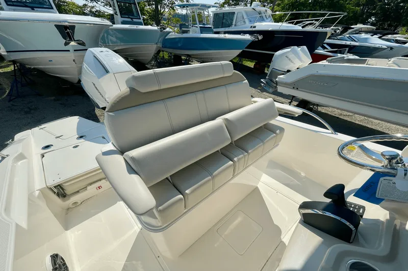 Slide: The Image of Boston Whaler 250 Dauntless 2026 - 11