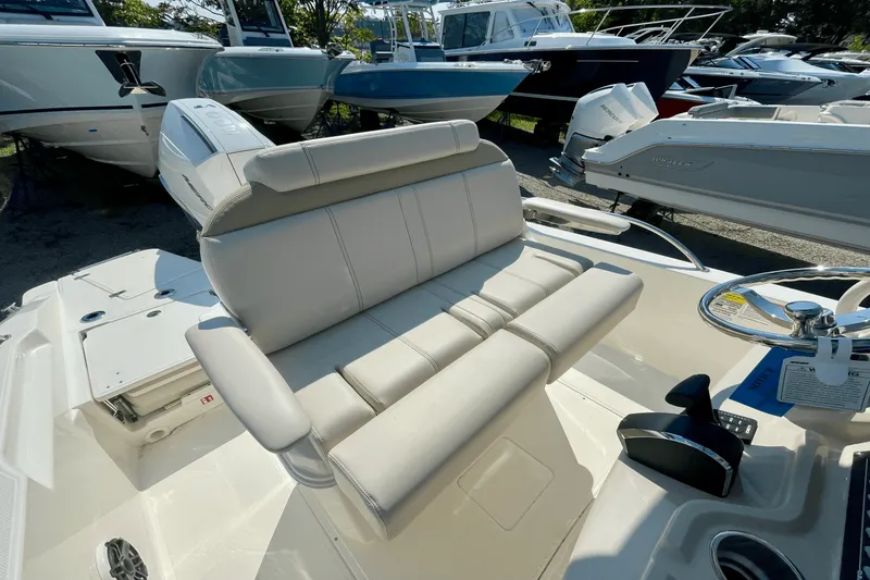 Slide: The Image of Boston Whaler 250 Dauntless 2026 - 12