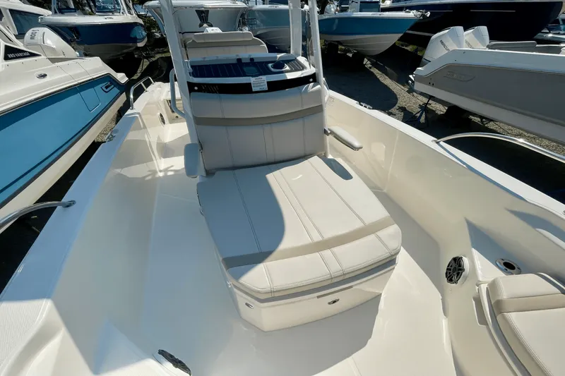 Slide: The Image of Boston Whaler 250 Dauntless 2026 - 18