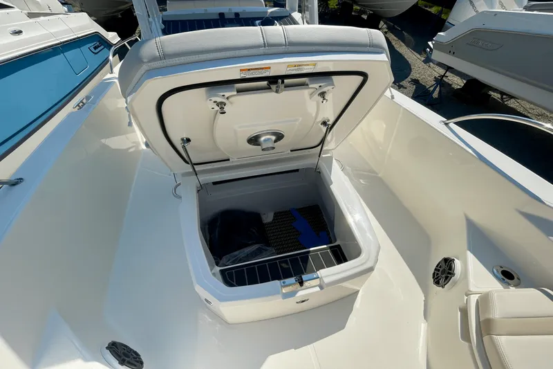 Slide: The Image of Boston Whaler 250 Dauntless 2026 - 19