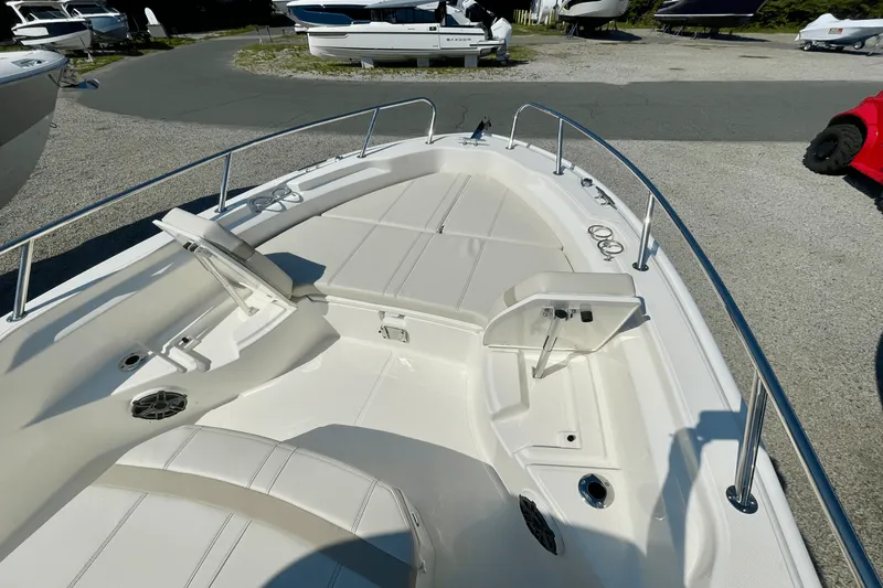 Slide: The Image of Boston Whaler 250 Dauntless 2026 - 22