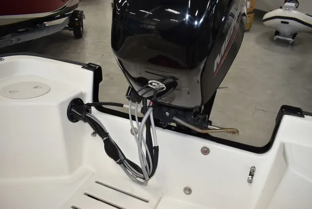 Slide: The Image of Boston Whaler 150 Montauk 2022 - 40