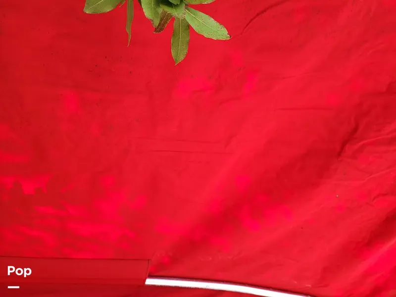 Slide: The Image of Chaparral 200 SSe 2002 - 10039135