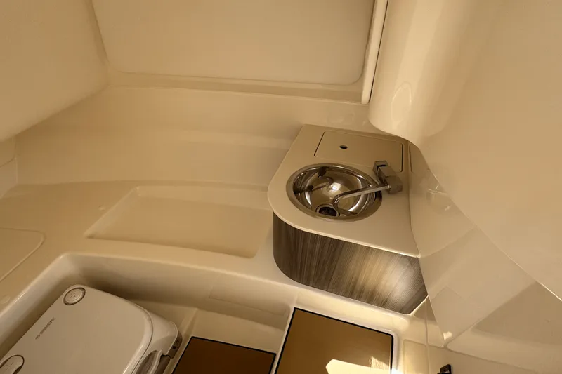 Slide: The Image of Sea Ray 250 SDX 2025 - 17