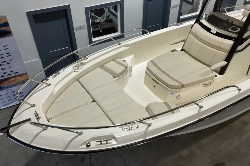 Slide: The Image of Boston Whaler 250 Dauntless 2026 - 17